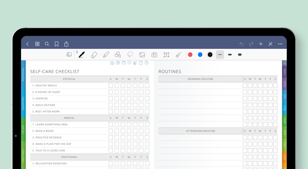 iPad Life Planner (New)